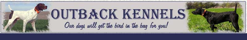 Outback Kennels Kensington Kansas Hunting Dogs for Sale